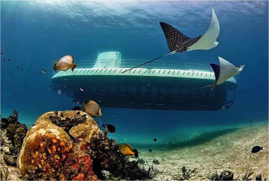 Cozumel Submarine Tour - Image 7