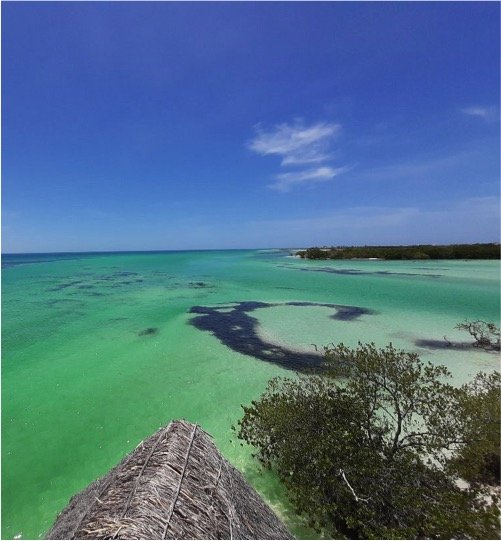 HOLBOX Ferry Punta Mosquito Tour - Image 5